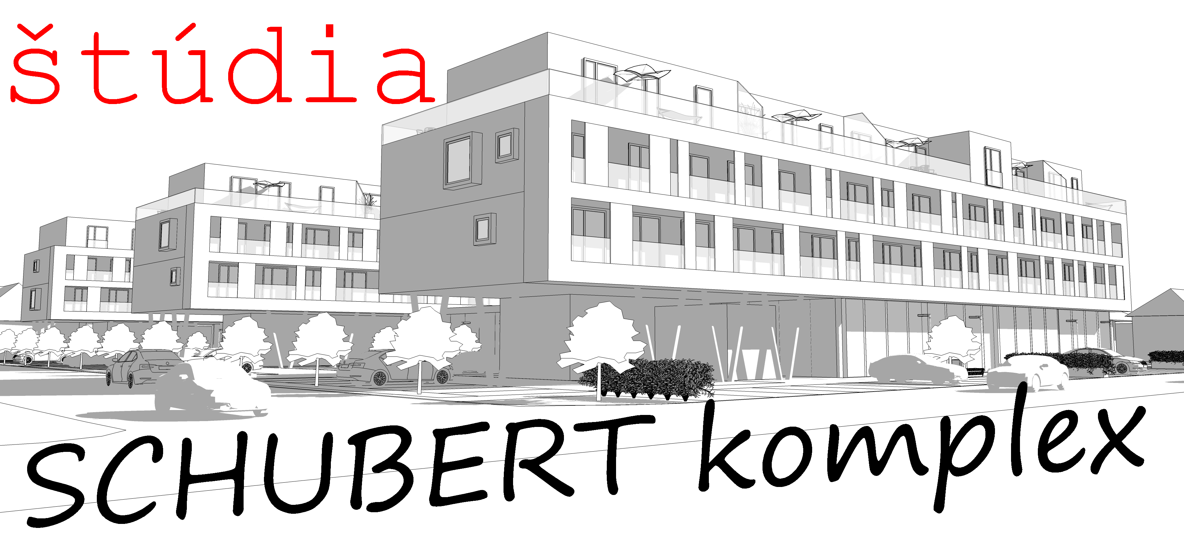 Schubert Komplex